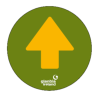 Circular Reception Arrow Vinyls x4 Types 300x300mm