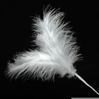 3 Feathers Spray Silver (H)28cm - Pack of 36