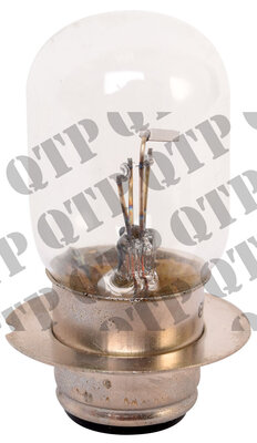 1360_Bulb.jpg