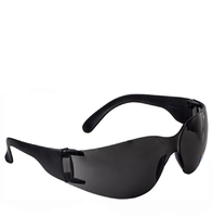 Supertouch E10 Safety Glasses Smoke Lens, Smoke
