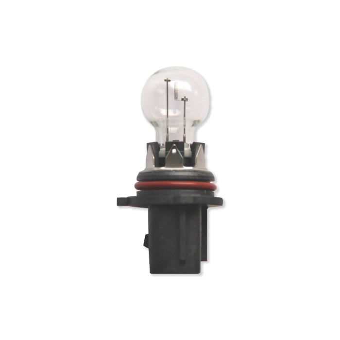 12V 13W P13W Hipervision Bulb