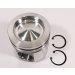 PISTON BODY C/W CLIPS