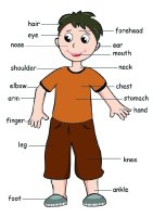 Poster - Body Boy (English)