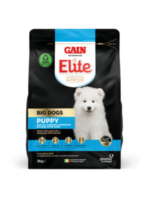 GAIN Big Dog Puppy Dog Food 3kg