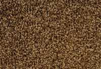 SPECTRUM TONALS 440200 4M