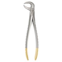 Lower Molars Cow Hom Beak 15cm Extracting Forceps - Diamond