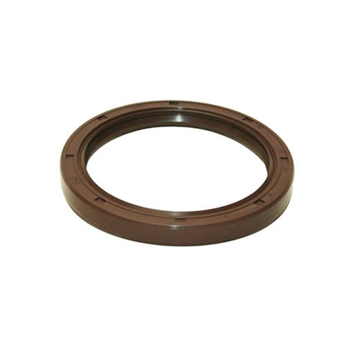 FPM D/Lip Oil Seal