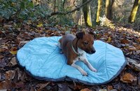 Henry Wag Alpine Snuggle Travel Bed x 1