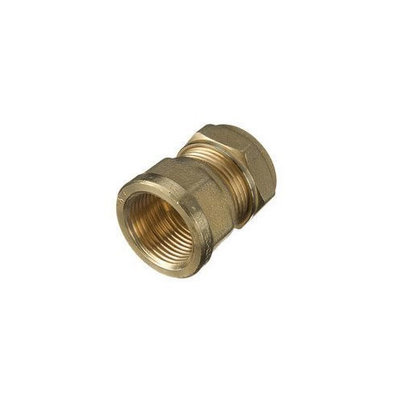 312 Female Straight Coupler Pipe Fitting (3/4")