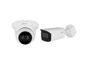 IP Cameras (IPC)
