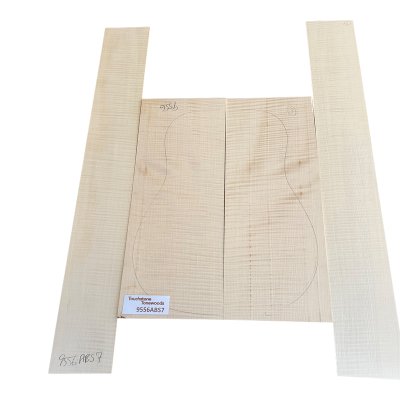 Maple/Sycamore Guitar Back & Sides, Super Quality - No 07