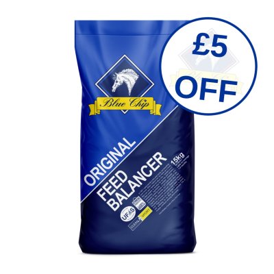 Blue Chip Original Feed Balancer £5 Off 15kg