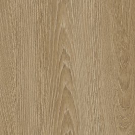 Golden Elm - NH83