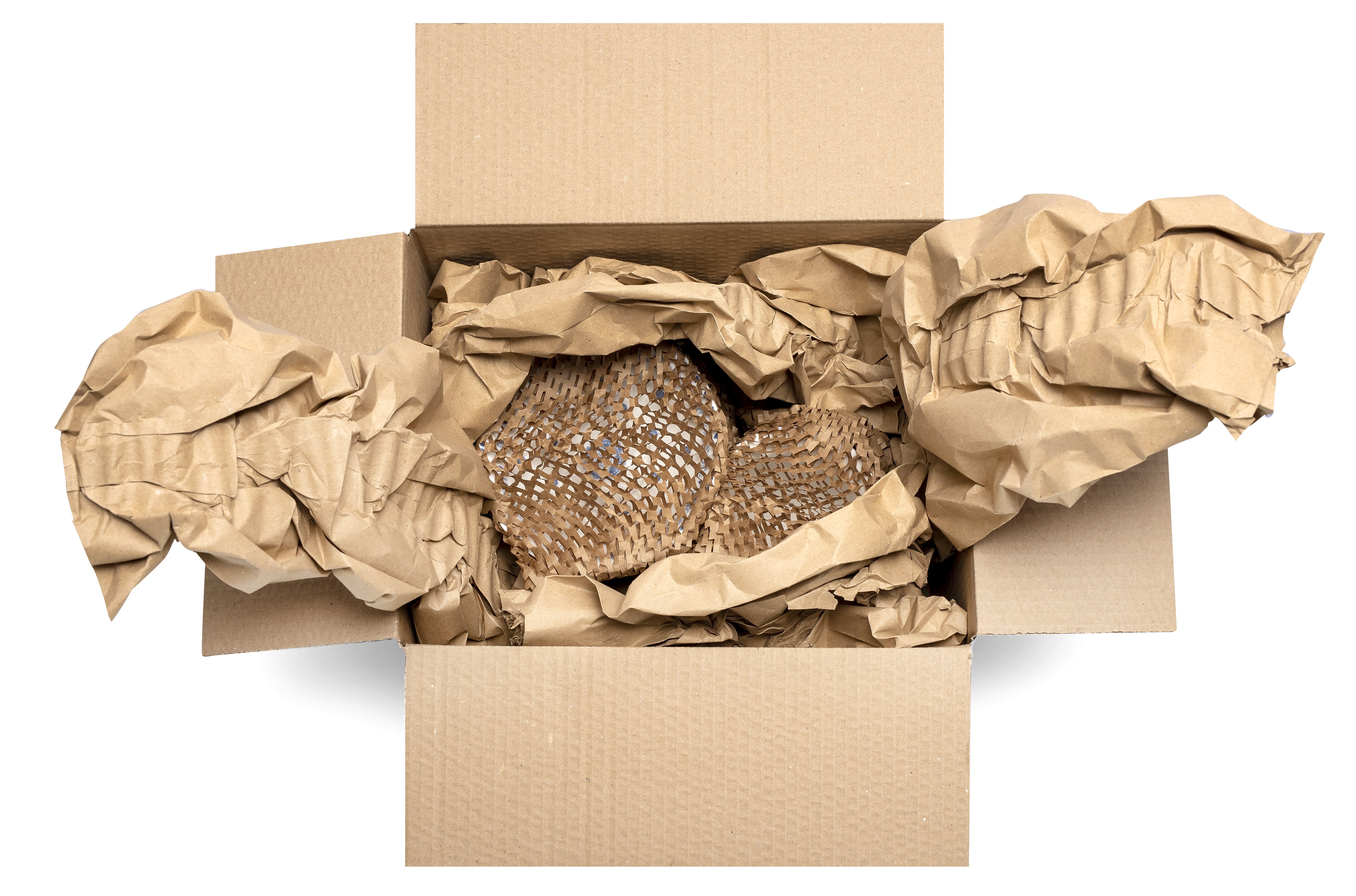 Protega 200 Paper - 320/720mm x 170m x 100gsm