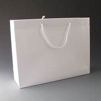 Large Luxury White Gift Bag