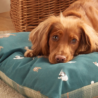 Laura Ashley Park Dogs Deep Duvet