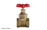 1" GATE VALVE (16BAR)