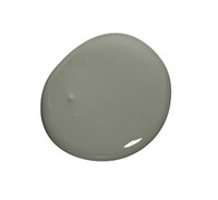 Colourtrend Burren Fen Colour Swatch