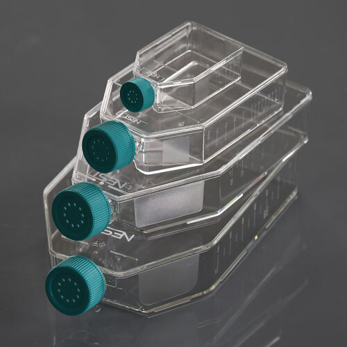 Cell Culture Flask WhiteSci