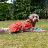 Ancol All Weather Stormguard Dog Coat Medium 40cm Terracotta x 1