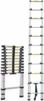 PROTOOL 3.2 MTR TELESCOPIC LADDER (11 RUNG)