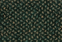 SPECTRUM DOT 438780 4M