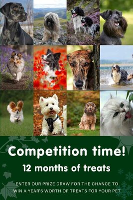 arden grange cat food 4kg