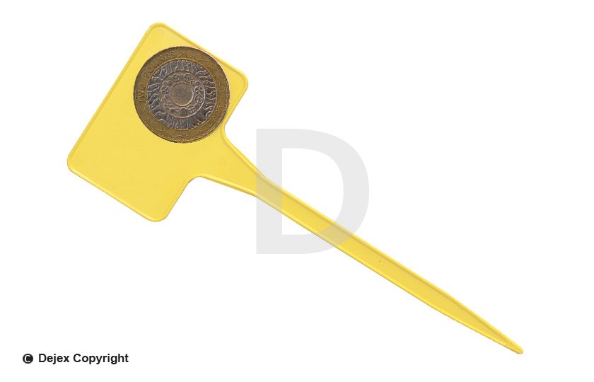 15cm YELLOW T LABELS (SL135)