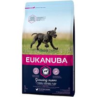 Eukanuba Puppy Large Breed Chicken 12kg