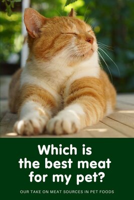 arden grange cat food 4kg