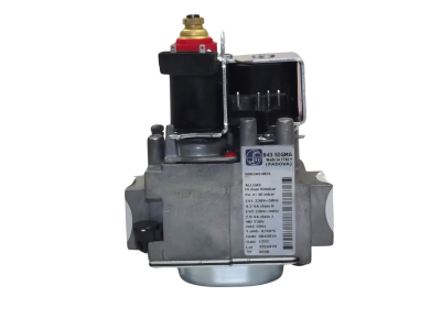 Gasklepset SIT 843 SIGMA voor TR