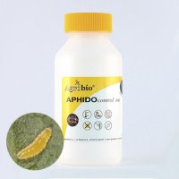 AphidoControl - Aphidoletes aphidimyza - 1.000 pupae