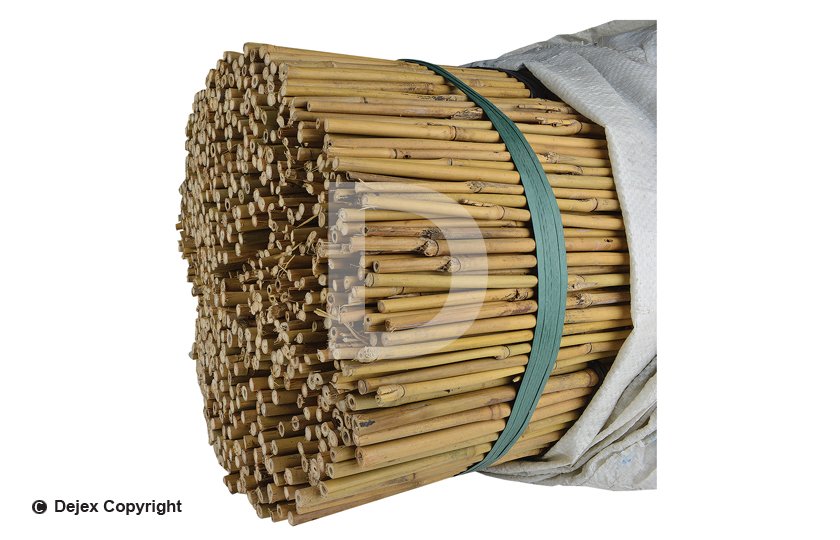 4' 8/10lbs BAMBOO CANES_500 BALE