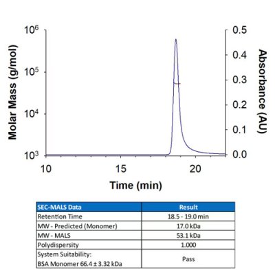 Protein, Recombinant Human TNF-alpha Protein, CF, 100 &micro;g