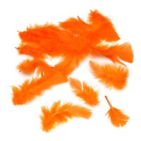 Feathers Orange (200 piece)