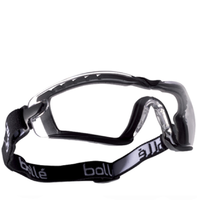 Bolle Cobra (strap + foam version) Clear Anti-scratch, Anti-fog, Platinum goggles