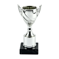 17cm Silver Plastic Cup Trophy (V202S)