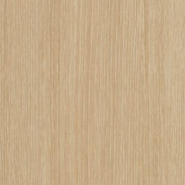 Basic Birch - CT33