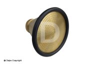 BRASS SHOWER ROSE + BUMPER