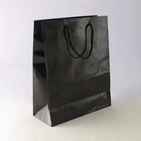 Medium Black Luxury Bag.