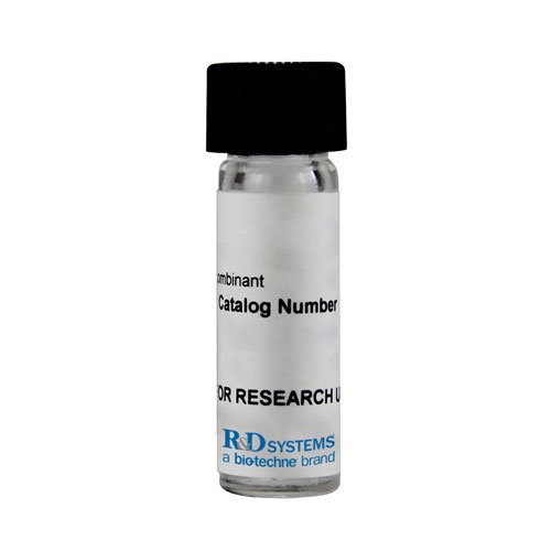 Protein, Recombinant Human MAdCAM-1 Fc Chimera Protein, CF, 50 &micro;g