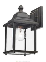 Doyle Wall Bracket Lantern IP44, Black Gold  | LV1802.0157