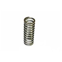 VALVE SPRING