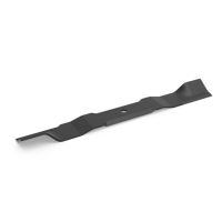 Ariens Edge 42 (915339) - 21" Blade