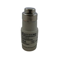 D02 25A Neozed Fuse