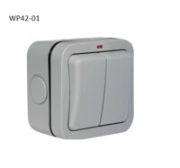 BG MASTERPLUG OUTDOOR 2 GANG SWITCH 2 WAY 20A IP66