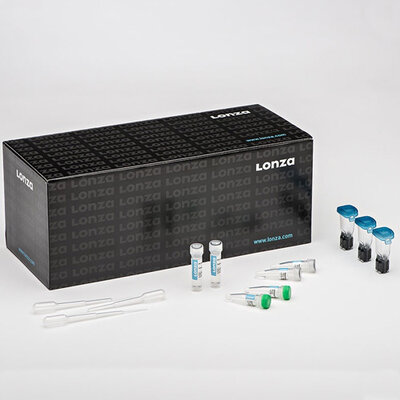 Cell Line Kit SE, 4D-Nucleofector X Kit, 12 reactions, 100 µL Nucleocuvette Vessels