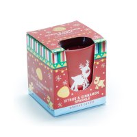 Pan Aroma Citrus & Cinnamon Sparkle Candle 100g