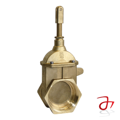 4000066-gate-valve-threaded-with-spring-return-ram