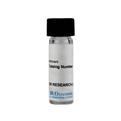 Protein, Recombinant Human/Mouse/Rat Activin A Protein, 50 &micro;g